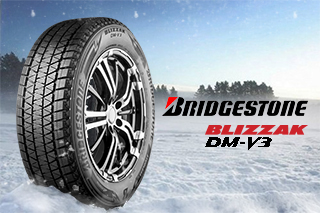Bridgestone Blizzak DM - V3