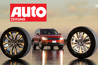 Тест літніх шин Auto Zeitung 2020 на розмірі 225 / 50R17